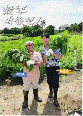 绿野寻宝记 丛林探险综艺